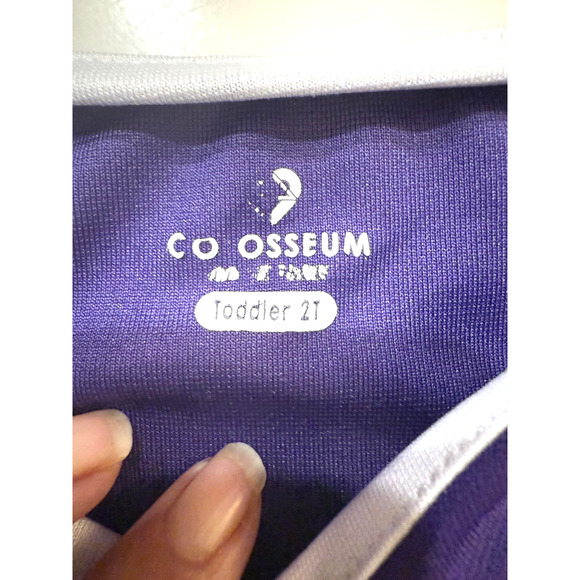 Colosseum TCU Toddler Dress 2T Purple Horned Frogs Shirt Wildcats Mascot Graphic - Picture 2 of 3